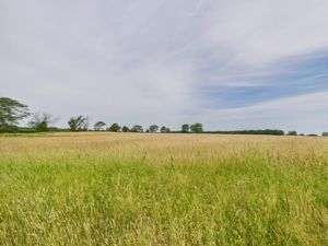 Rural Views- click for photo gallery